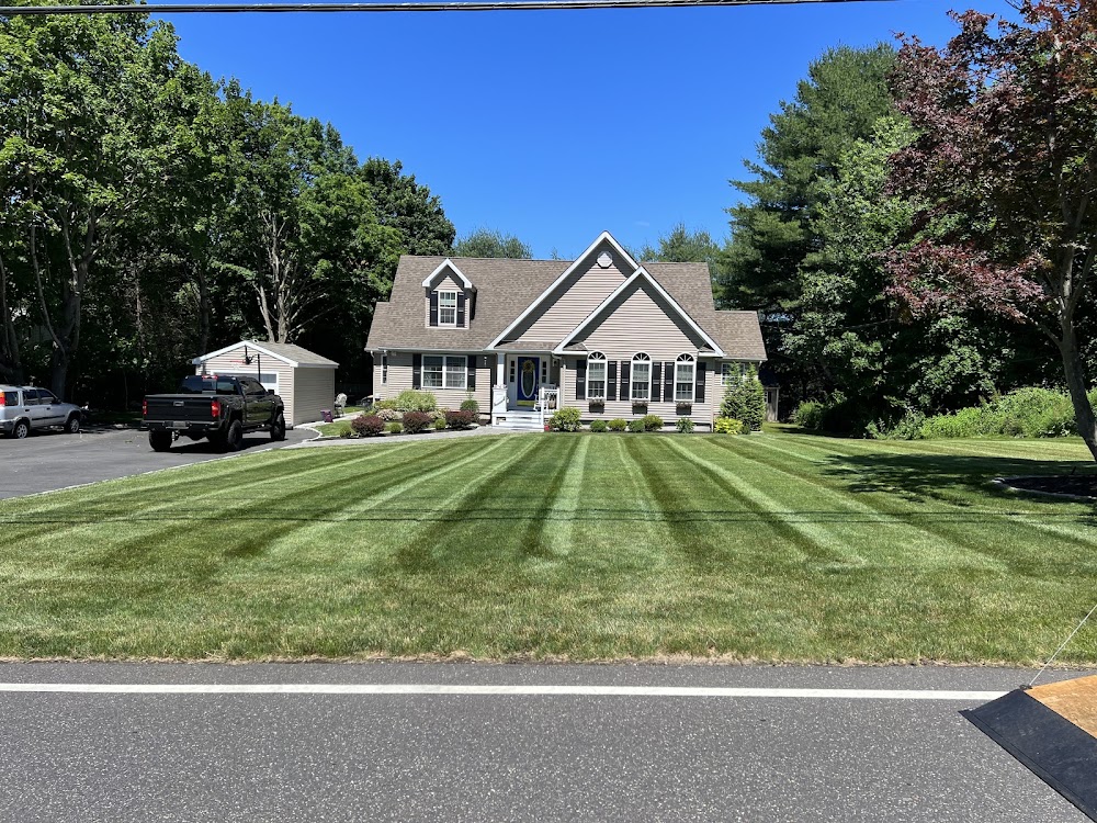 JJBM Landscaping & Tree Removal, LLC