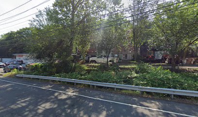 Nancy's Tree Planting Inc