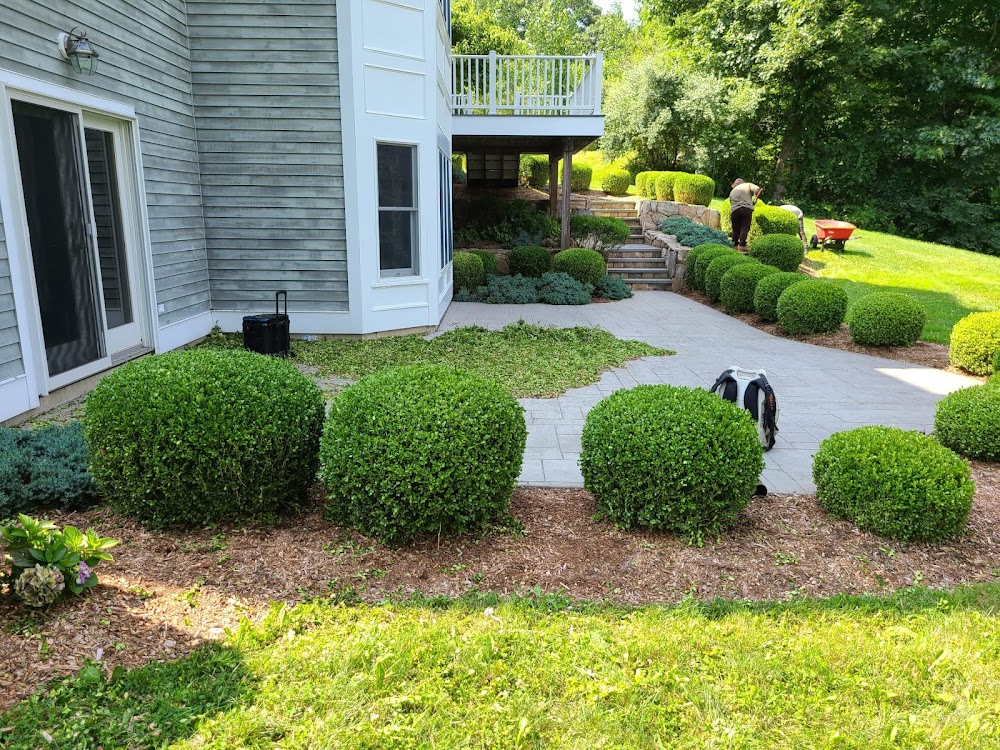 DJ LANDSCAPING SERVICES LLC