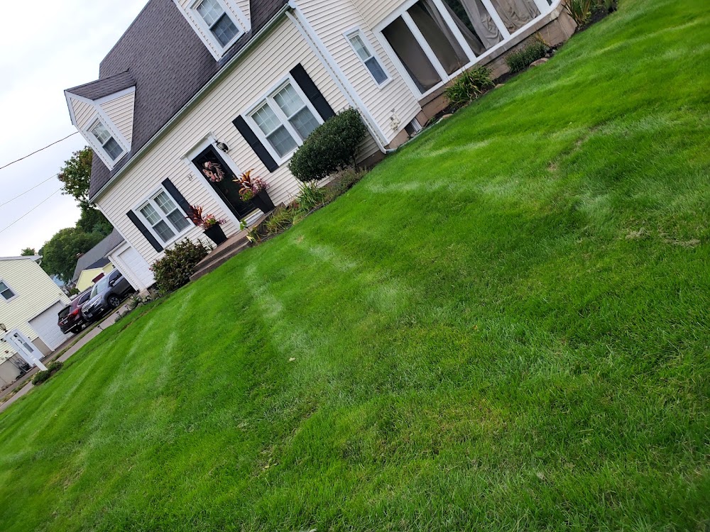 Twins Lawn Care