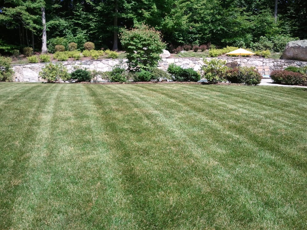 J & M Preferred Services