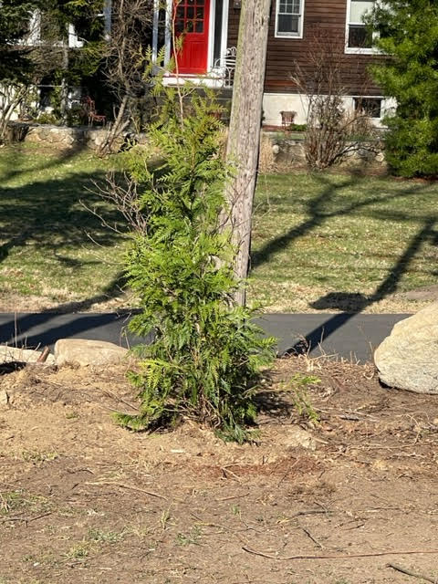 Burke Landscaping