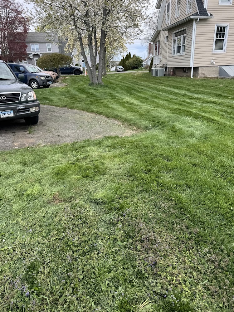 Sebs Landscaping & Masonry LLC