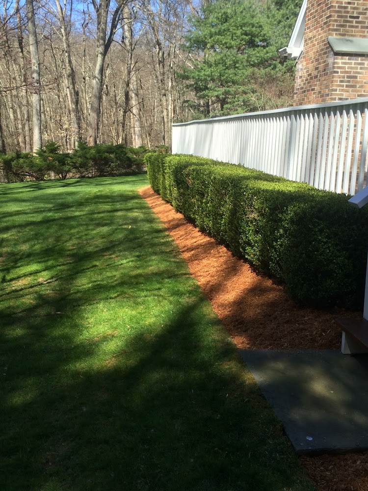 Nelson Oliveira Landscaping