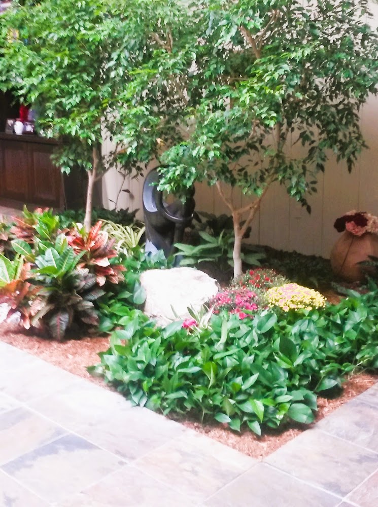 The Plant Man