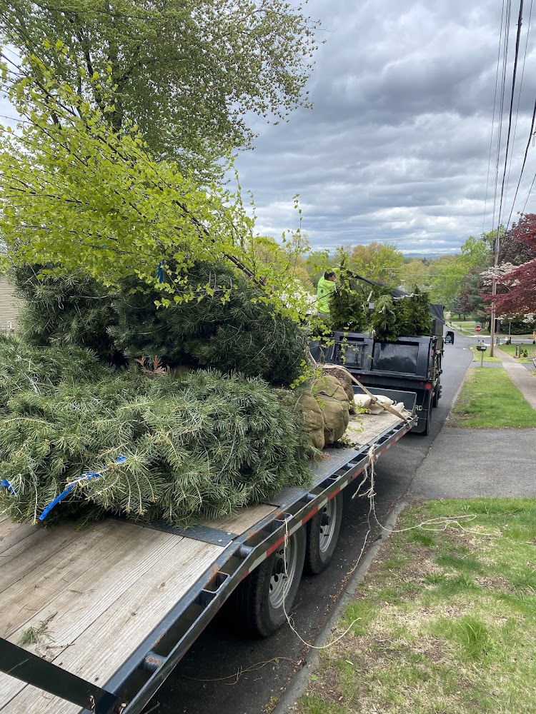 Maple hill landscaping