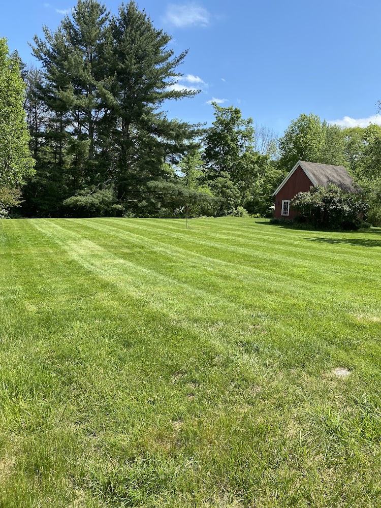 SRT Landscaping LLC