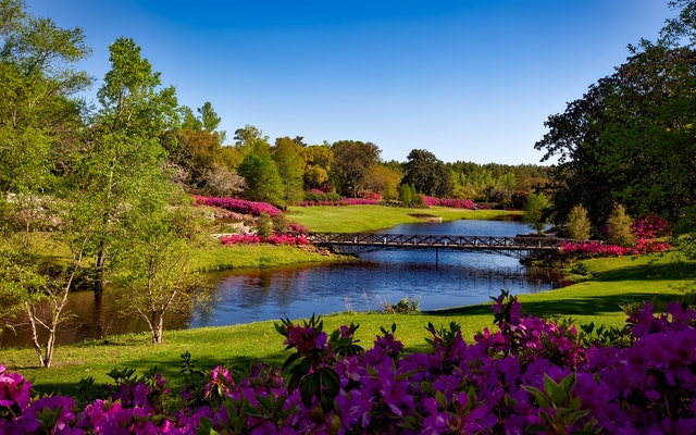 Country Gardens of Bristol