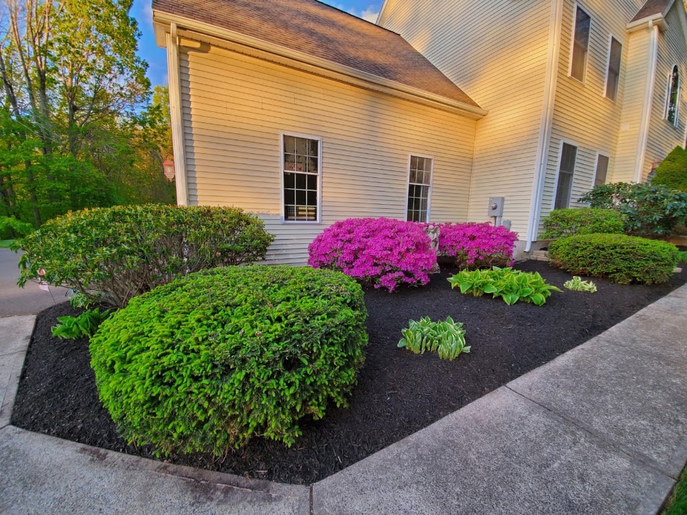 J.M CABRERA LANDSCAPING LLC