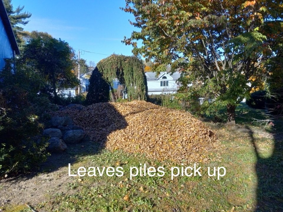 Valenzuela Landscaping LLC