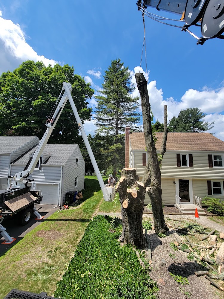 West Hartford Gutter Cleaning