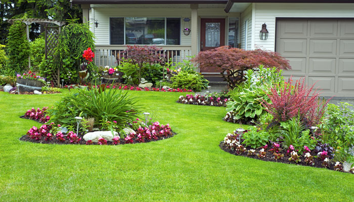 Green Life Maintenance