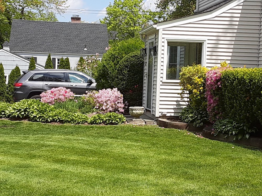 All American Tree & Turf LLC