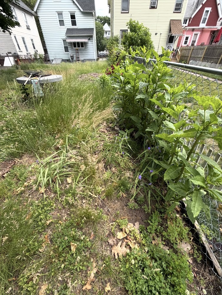 Al's Lawn & Land Care