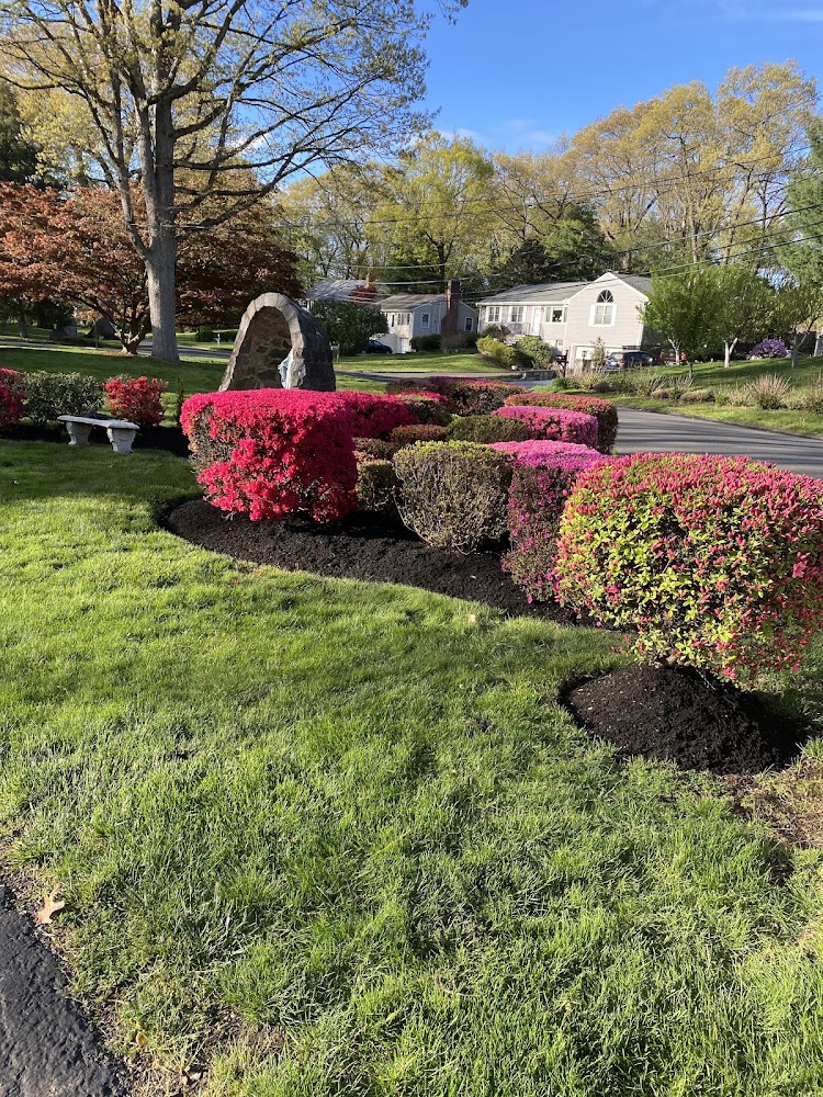 M.espinas landscaping
