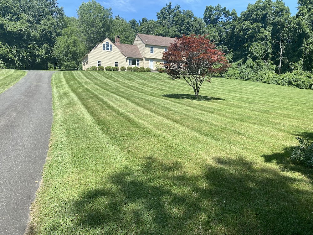 Lorusso’s Landscaping LLC