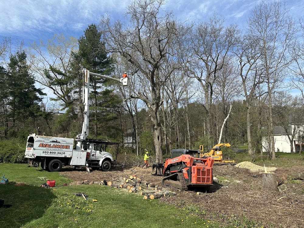Avalanche Tree and Landscaping LLC