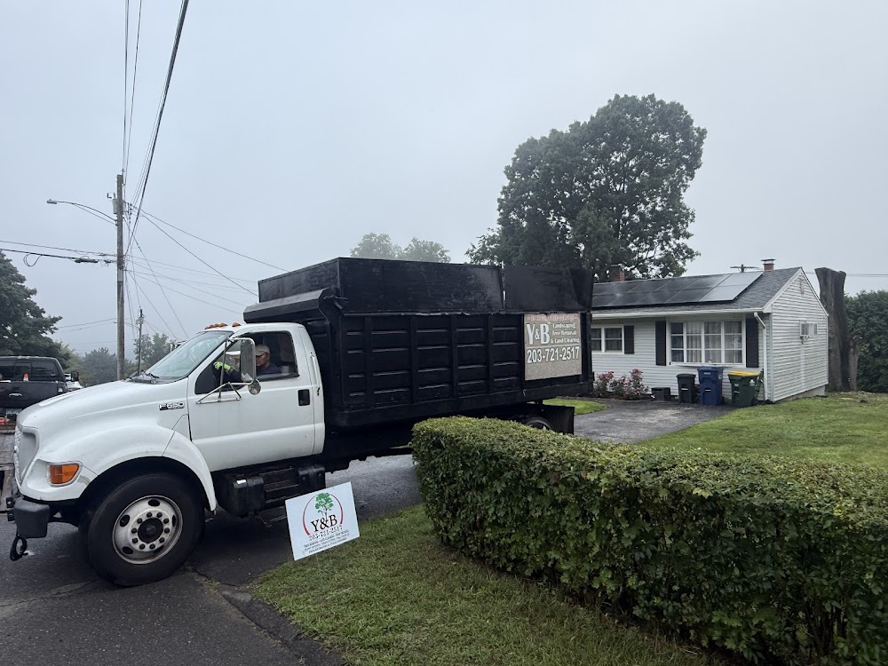 Y&B Landscaping Tree Services LLC