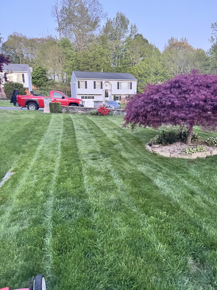 Brass City Landscaping
