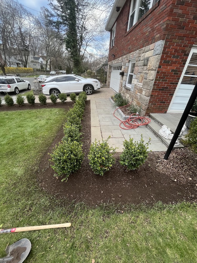 DiLorenzo Landscaping