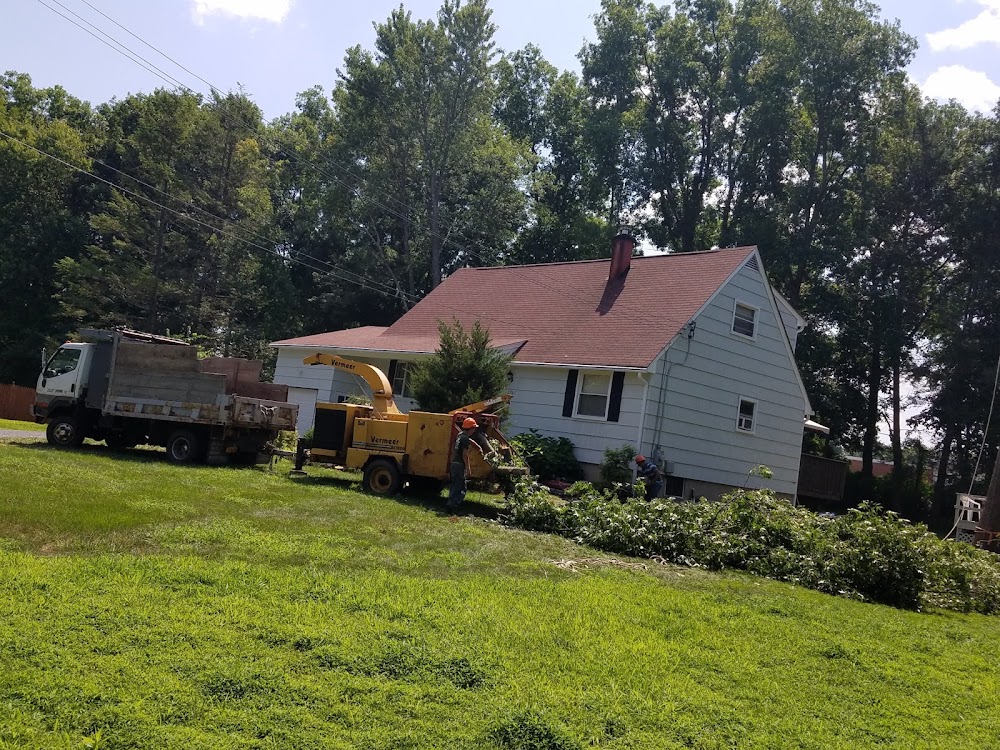 Walter Landscaping & Tree Service