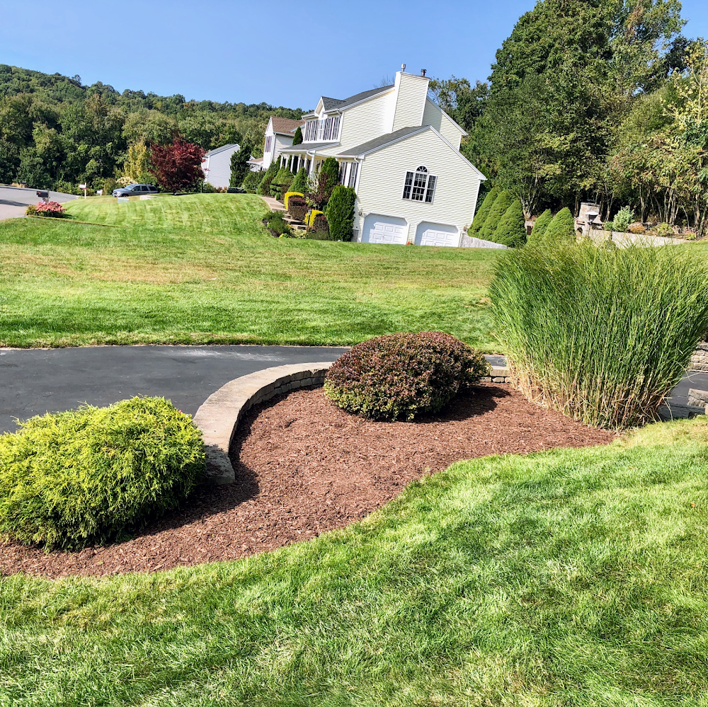 Paramount Professional Landscaping LLC