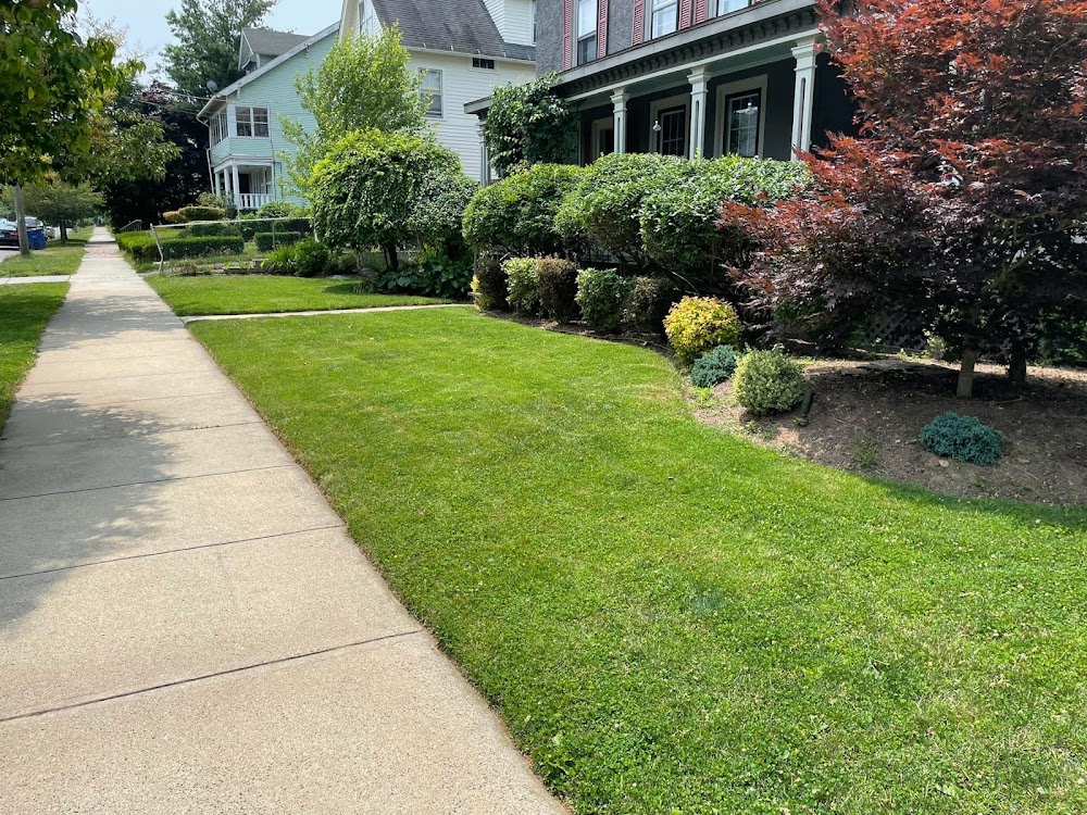 Mateo's Landscaping, LLC