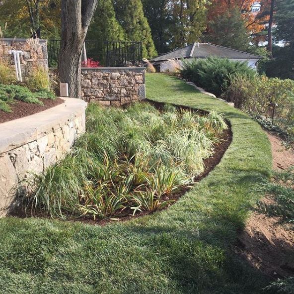 Tripodi Landscaping