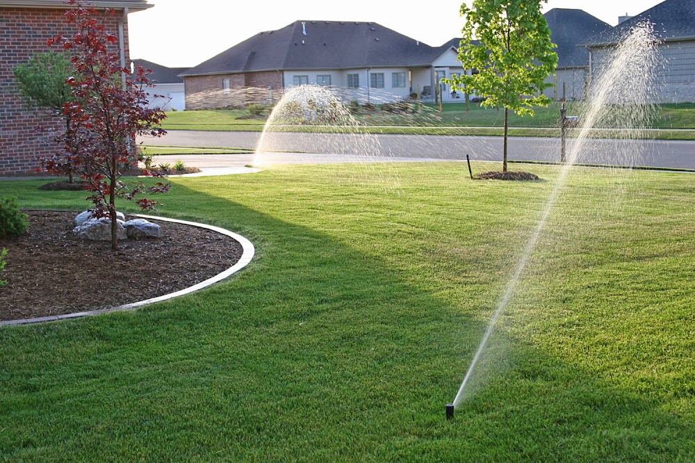 American Yard Service & Irrigation