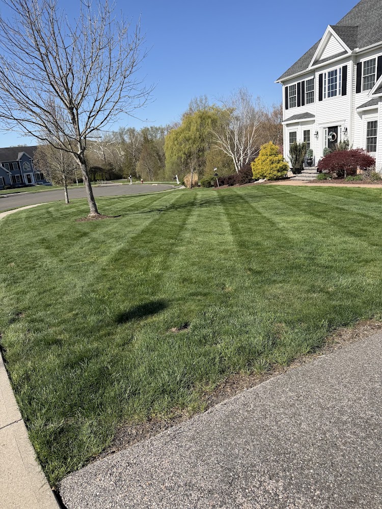 G&D Landscaping LLC