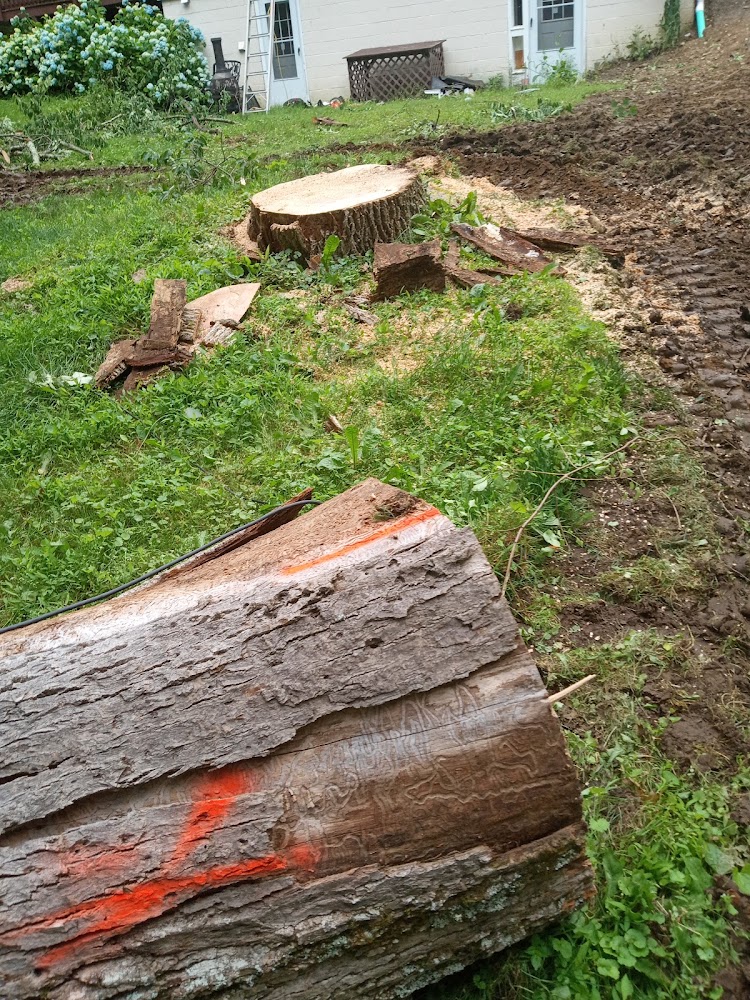 Rodriguez Landscaping and Tree Service LLC