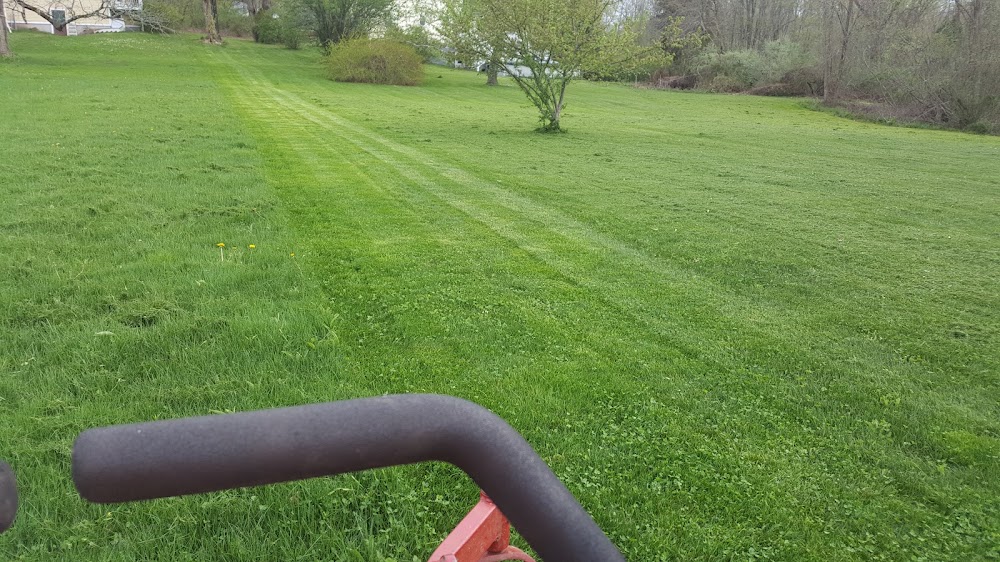 Affordable Landscaping & Lawn Care
