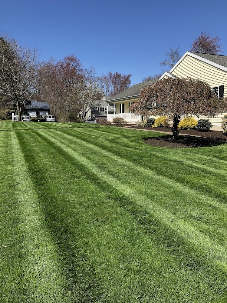 DT Landscaping LLC