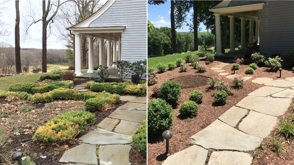 Colonial Landscaping & Tree Services