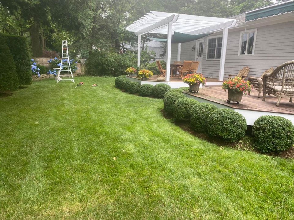 CDM Landscaping Services LLC