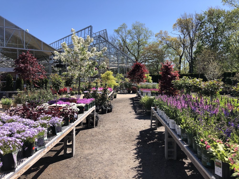 Sam Bridge Nursery & Greenhouses