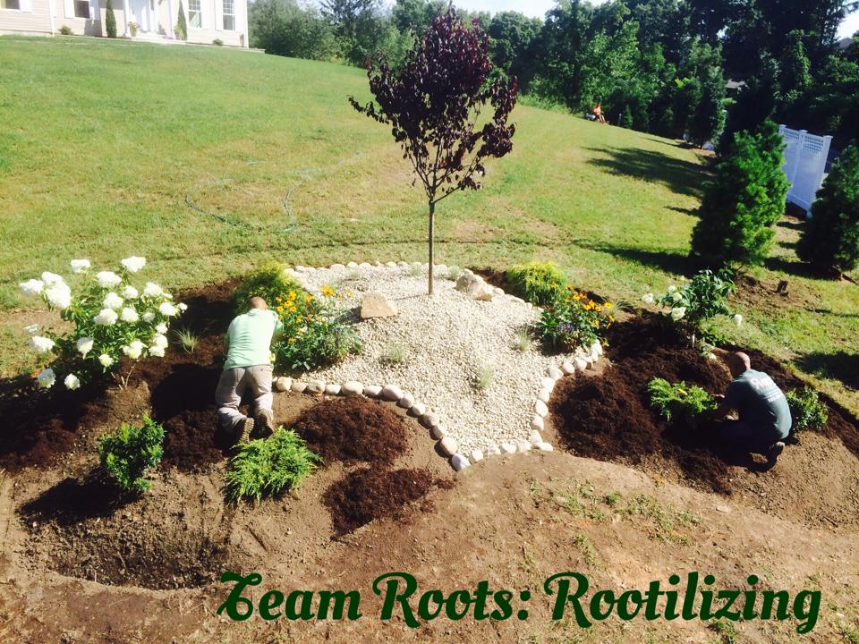 Roots Landscaping - Fence Contractor
