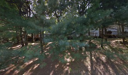 IC LANDSCAPING & TREE SERVICES