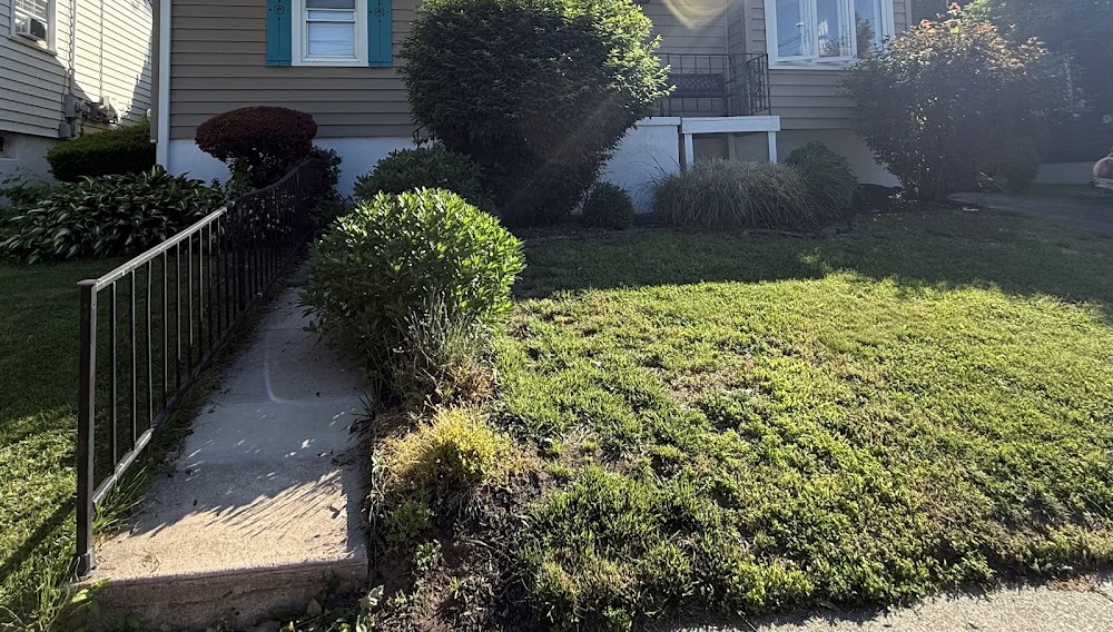 DeiesoLandscaping LLC
