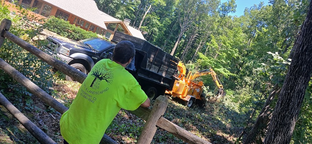 Top Tier Landscaping LLC