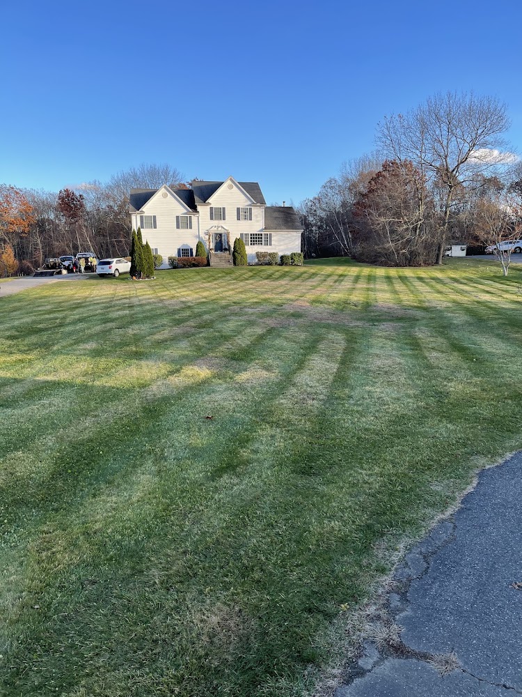 Cocchiola Landscaping LLC