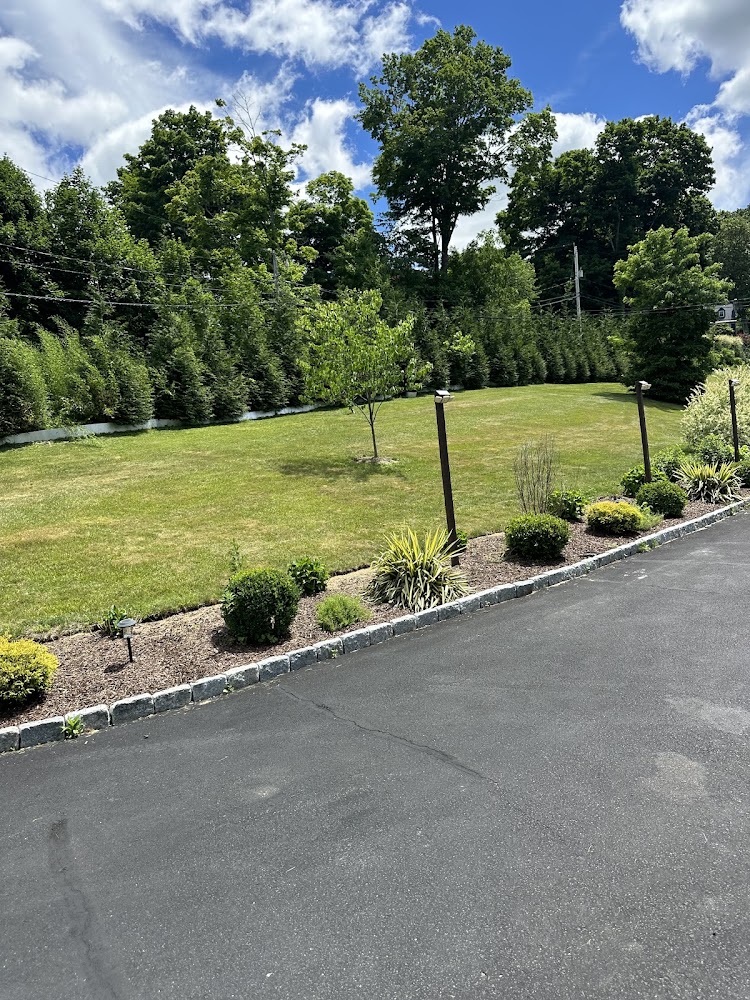 Chams landscaping and Junk Removal