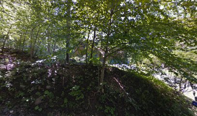 Forest City Landscaping LLC