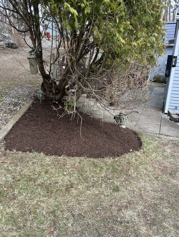Claudio Landscaping