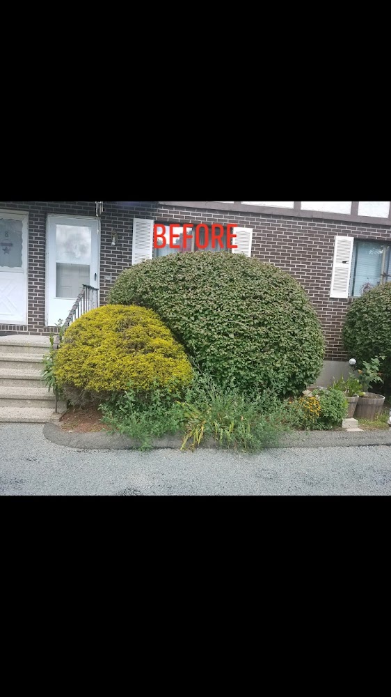 All American Landscape