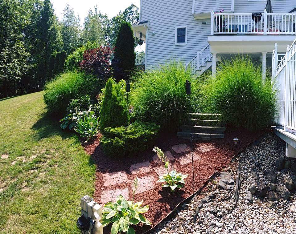 DC Landscape & Design LLC