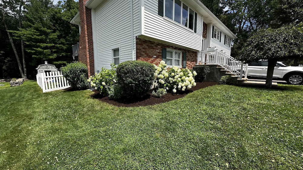A Better View LLC