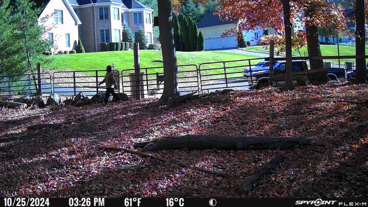 KMO Landscaping & Design