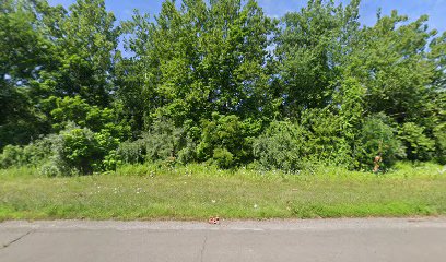 Green Carpet Lawns LLC