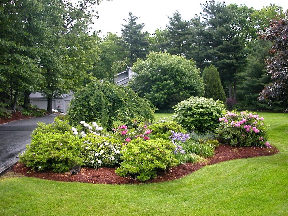 D&B Landscape Contractors